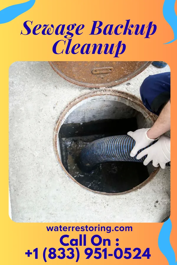 Sewage Backup Cleanup in Athens, PA
